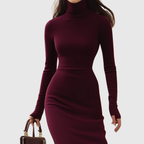 ISABELLE | Burgundy Turtleneck Dress
