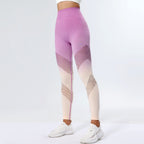 SORELLE | Ombre Mesh High-Waist Active Leggings for Women