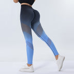 SORELLE | Ombre Mesh High-Waist Active Leggings for Women